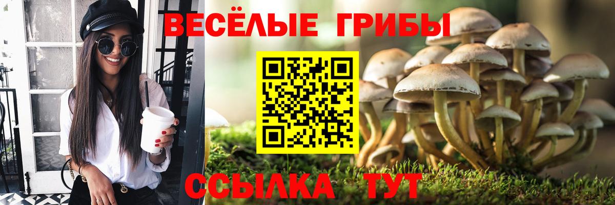Псилоцибиновые грибы Cubensis Орск