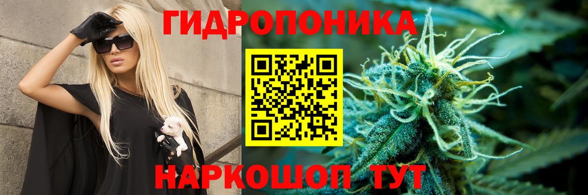 Шишки марихуана Ganja Орск
